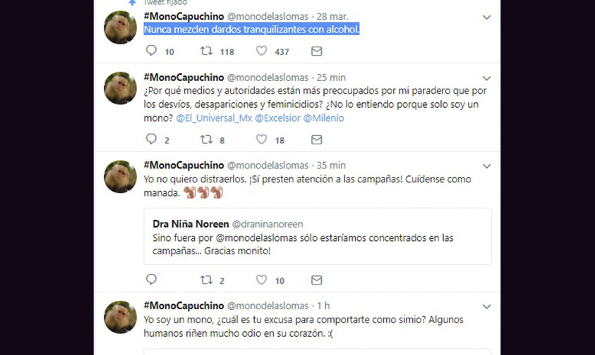 mono capuccino Ciudad de México Twitter