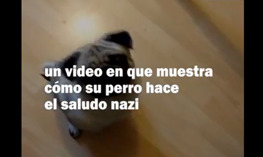 perro saludo nazi