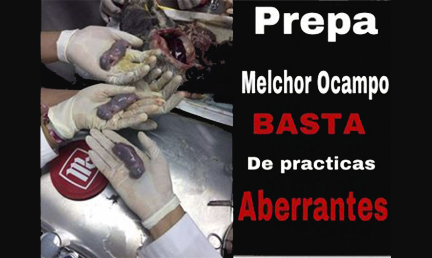 sacrificio conejos Preparatoria Melchor Ocampo