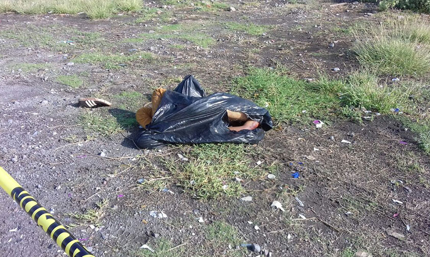 cadáver Ceñidor Apatzingán