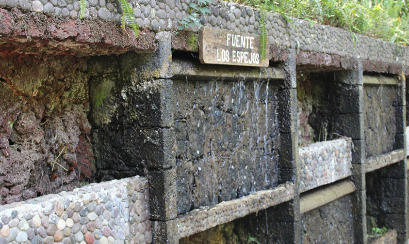 renovar Parque Nacional