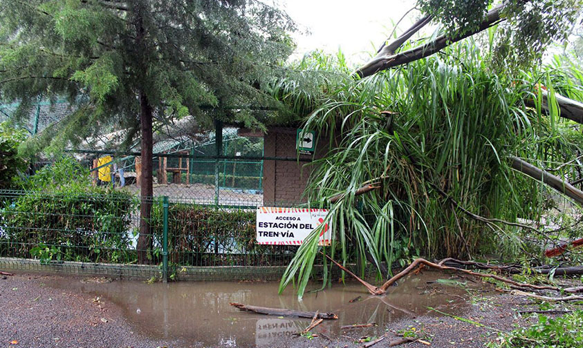 lluvia Zoológico Morelia