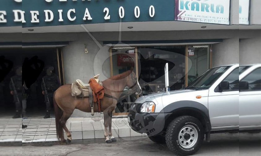 balean chofer Apatzingán Michoacán