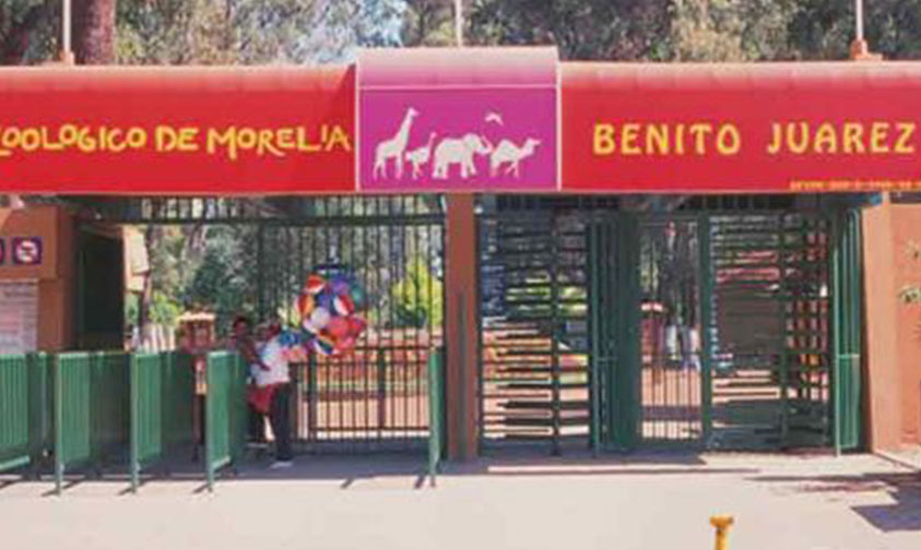 zoo león Morelia