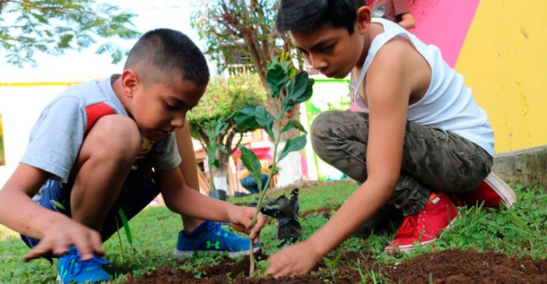 reforestar-niños-aguacates-Uruapan