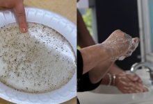Experimento con Pimienta Para que Niños Aprendan A Lavarse Las Manos