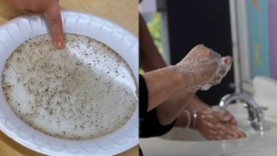 Experimento con Pimienta Para que Niños Aprendan A Lavarse Las Manos