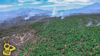 Tras 20 Días, Logran Sofocar Incendio Forestar En Bosques De Uruapan