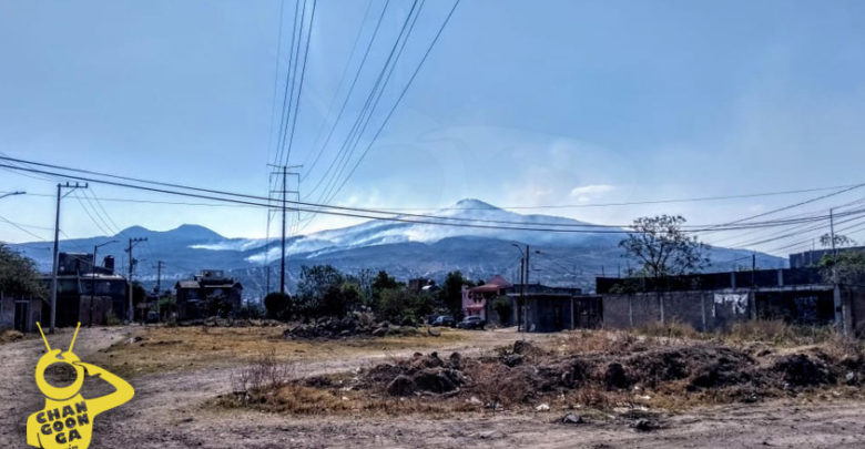 #Morelia Reportan Incendio Forestal A Lo Largo De Cerro Del Quinceo