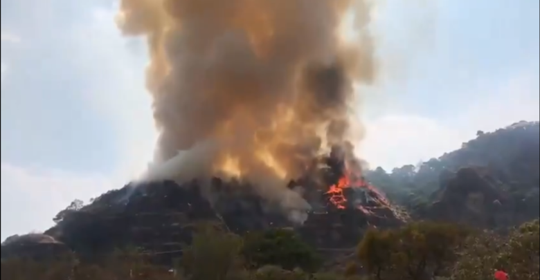 Por Grabar Tik Tok, Chava Habría Incendiado Área Natural Protegida De Morelos