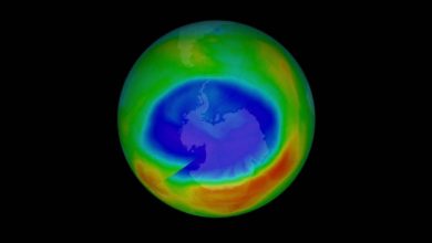 ¿La Cuarentena? ONU Informa Que Cerró Un Agujero En Capa De Ozono