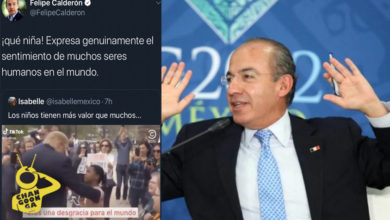 Le Dicen Gallina Teporocha A Calderón Por Borrar Mensaje Contra Donald Trump