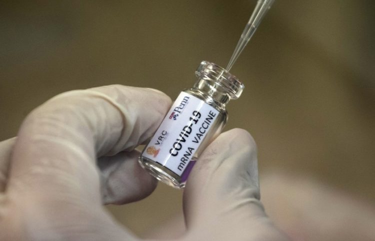 Se Desconoce Cómo Se Aplicarán Vacunas COVID-19 Cuando Se Tengan: López Gatell