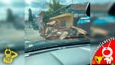 #Denúnciamesta Vecino tiene invadida la calle con shingo de troncos
