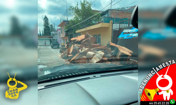 #Denúnciamesta Vecino tiene invadida la calle con shingo de troncos