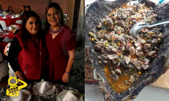 #LadyCaguama: Regidora De Morena Presume Que Comió Tortuga Casi Extinta