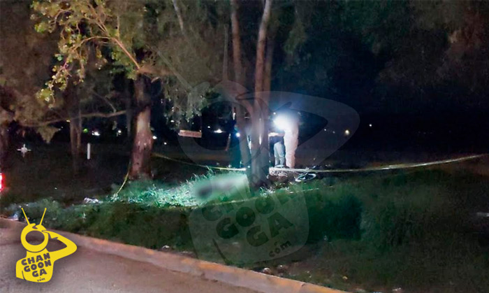 #Morelia Fallece Motociclista Tras Derrapar Y Chocar VS Árbol En La Morelia-Salamanca