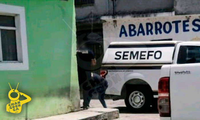Muere Señora Mayor Tras Ataque De Abejas, En Tarímbaro