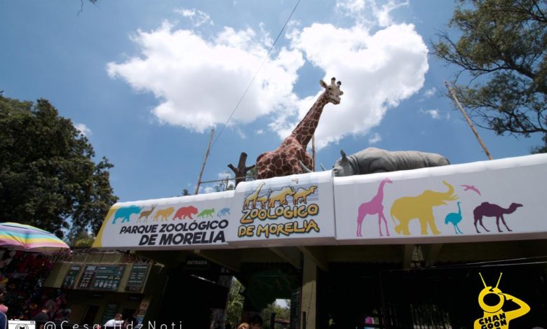 Visitantes No Respetan Sana Distancia En Reapertura del Zoológico de Morelia