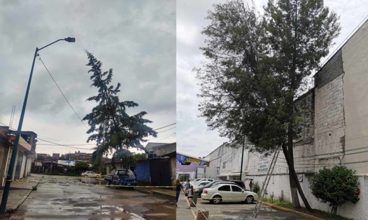 #Morelia Por Lluvias Continúan Retirando Ramas Y Árboles Caídos