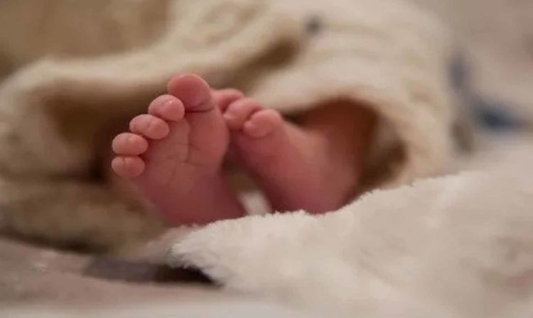 Pasa En México: Abandonan A Dos Recién Nacidos En La Calle Y Uno Muere 