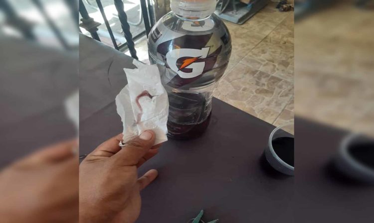 Pasa En México Mujer Compra Gatorade Y Le Sale Con Asqueroso Premio