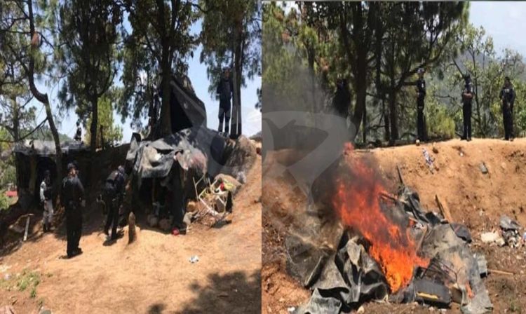 #Michoacán SSP Y GN Destruyen Narcocampamento 