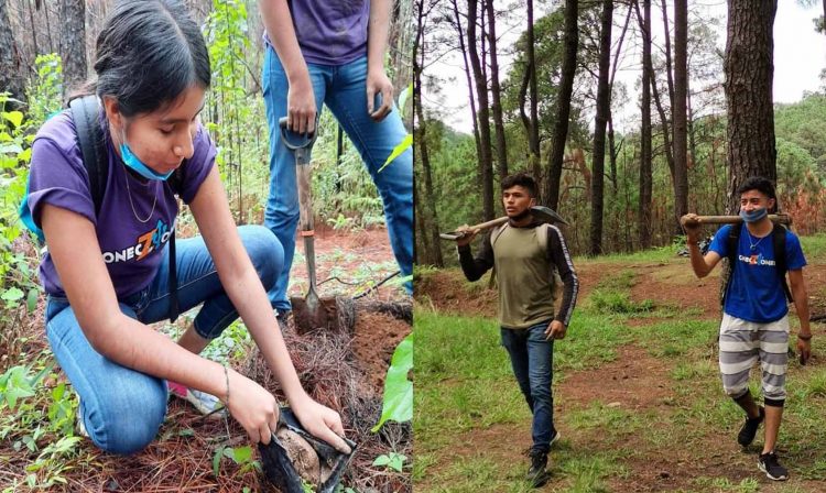 #Michoacán En Solo Dos Días Jóvenes Reforestan 2 Mil 500 Árboles