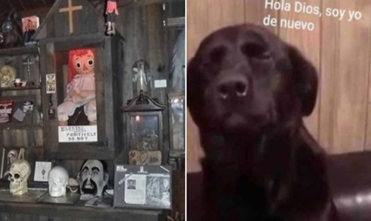 La Muñeca Annabelle No Respeta La Cuarentena Y Escapa De La Casa De Los Warren