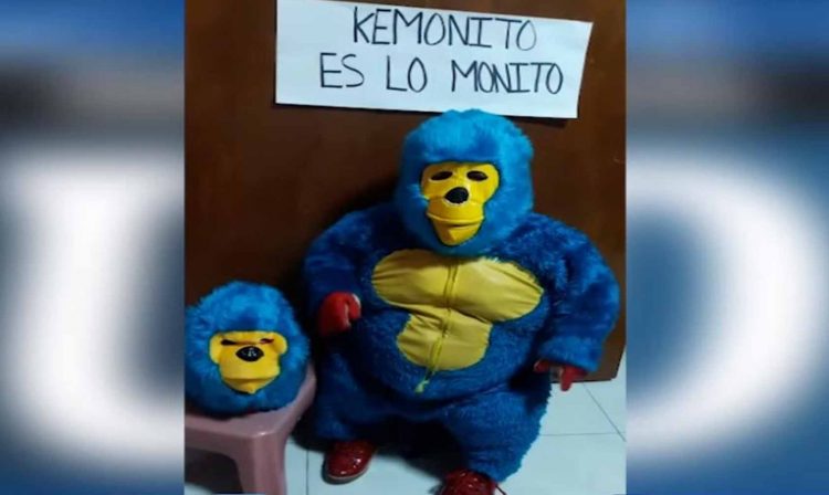 Fans De Kemonito Piden Apoyo Para La Venta De Sus Productos