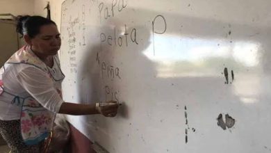 #Michoacán Maestra Acudirá Casa Por Casa A Dar Clases A Alumnos Sin Televisión