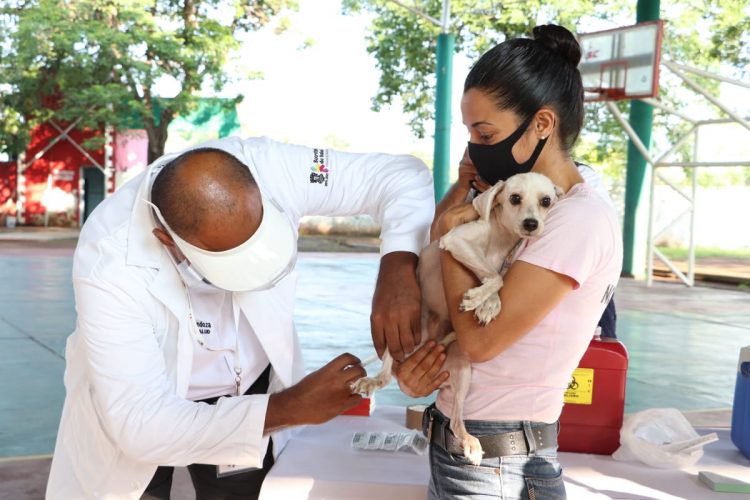 Alcalde Participa En El Arranque De La Jornada Nacional De Vacunación Canina Y Felina 2020