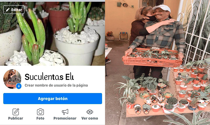 #Morelia Abuelitos Desempleados Por Pandemia Ahora Venden Suculentas Por Internet