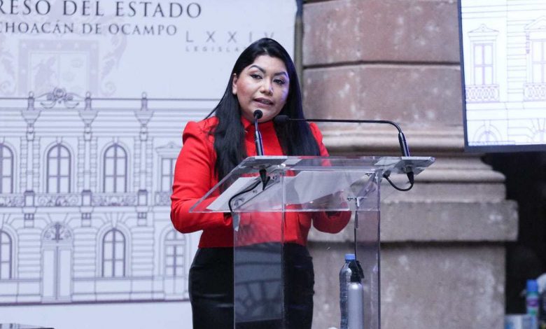 Congreso Debe Hacer Contrapeso A La Opacidad Y La Discrecionalidad, No Ser Comparsa: Brenda Fraga