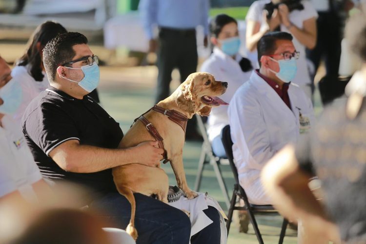 Arranca Jornada De Vacunación Canina Y Felina En