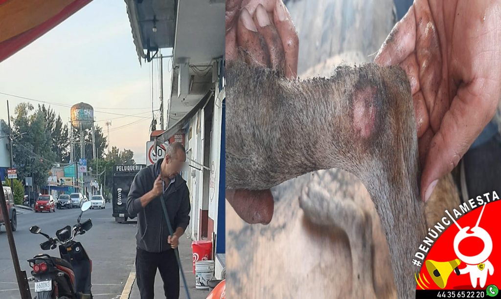 #Denúnciamesta Don avienta agua hirviendo a perritos en la calle