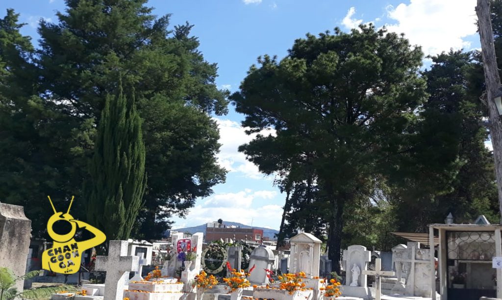 Morelia Por Primera En Años, Panteones Están Muertos Este Morelia Por Primera En Años, Panteones Están Muertos Este