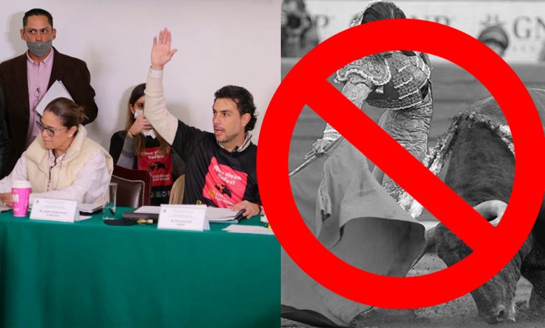 ¡Olé! En CDMX Avanza Propuesta De Ley Para Prohíbir Corridas De Toros