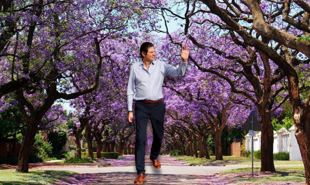 Alfonso Jacarandoso Plantaremos 100 Mil Jacarandas En Toda Morelia