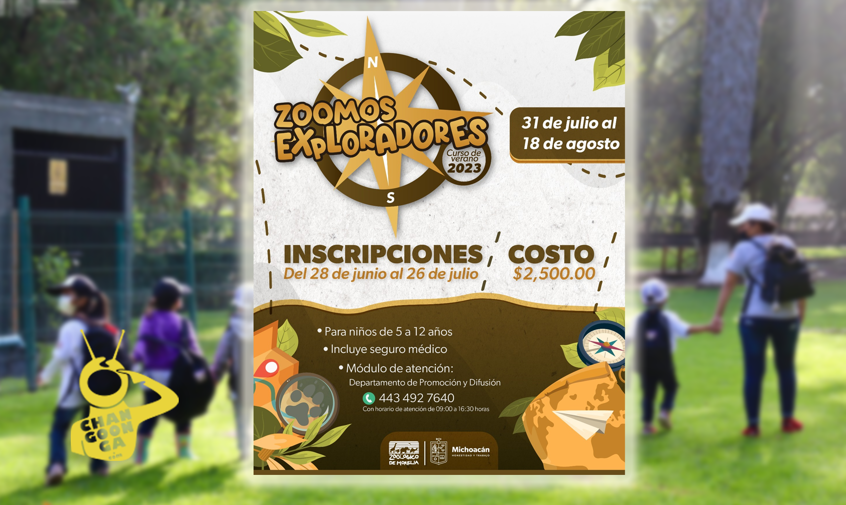 Zoo De Morelia Abre Curso De Verano Del 31 Julio Al 18 Agosto Por 2 Mil