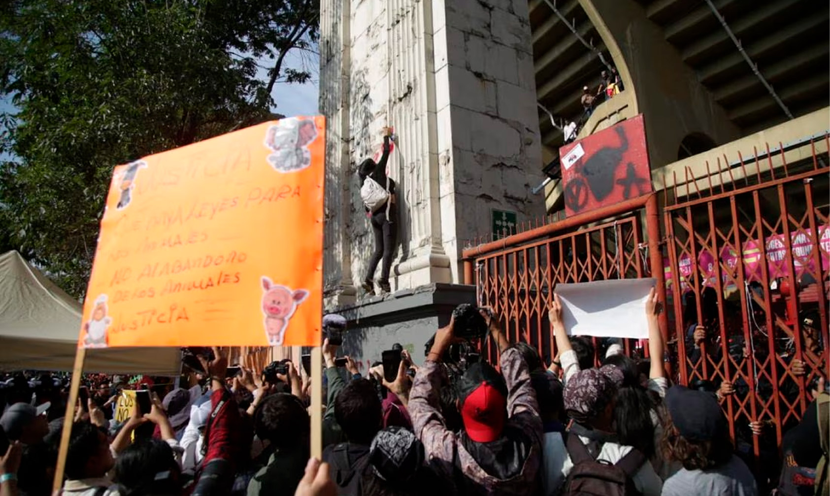 Se Manifiestan En Contra Del Regreso De Las Corridas De Toros En CDMX ...