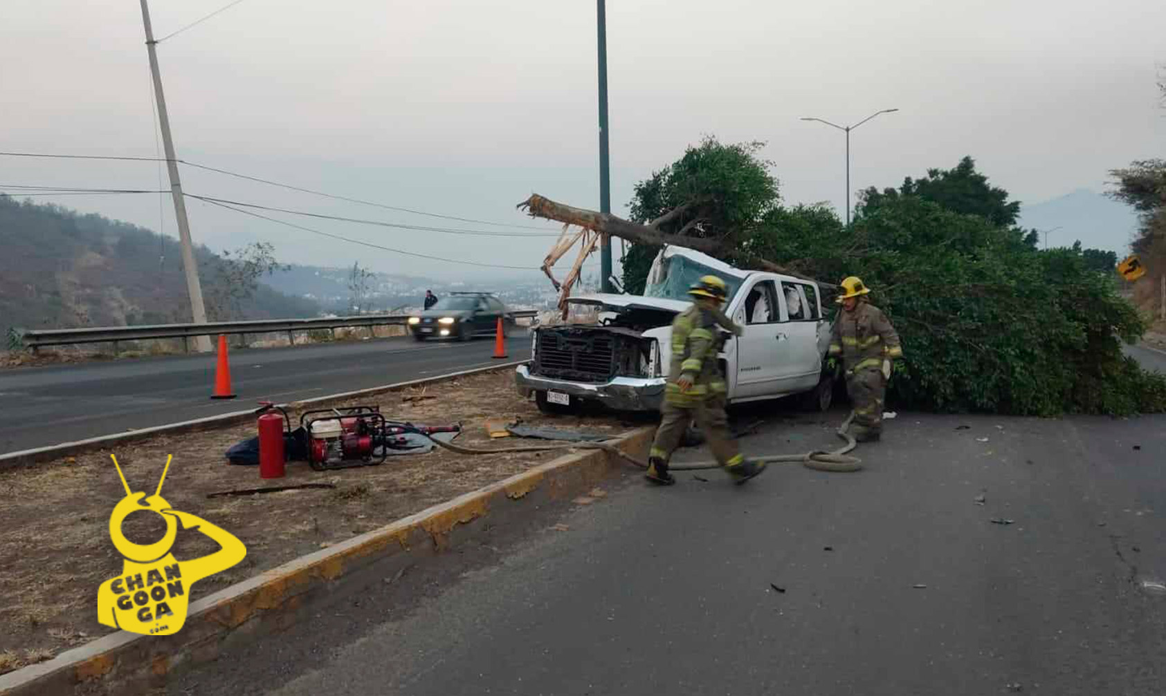 #Morelia Conductor Choca Contra Árbol, Huye Y Abandona A Sus ...